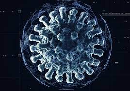 CDC: COVID-19 Omicron is in the US
