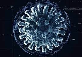 CDC: COVID-19 Omicron is in the US